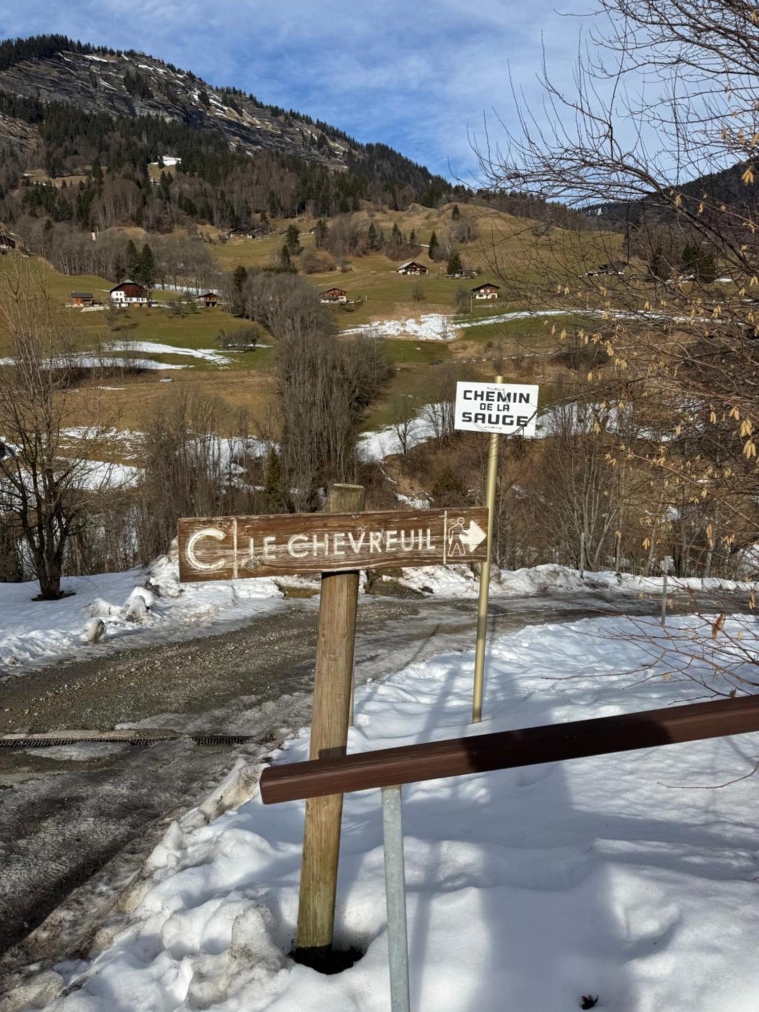 Piste Verte Flumet Extérieur photo